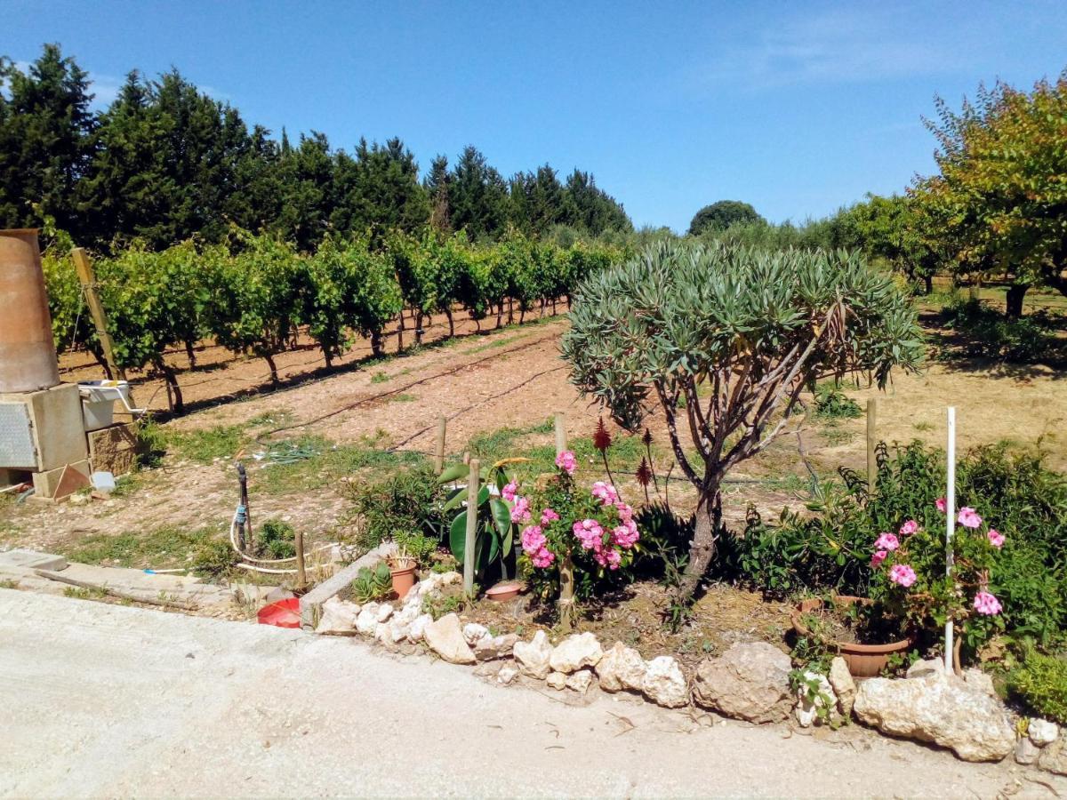 Appartamento Le Rose Olmedo Esterno foto
