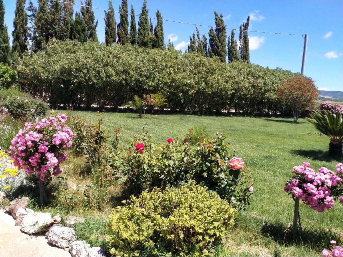 Appartamento Le Rose Olmedo Esterno foto