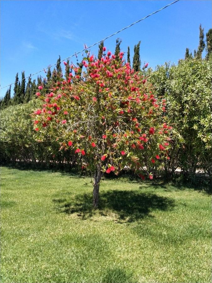 Appartamento Le Rose Olmedo Esterno foto