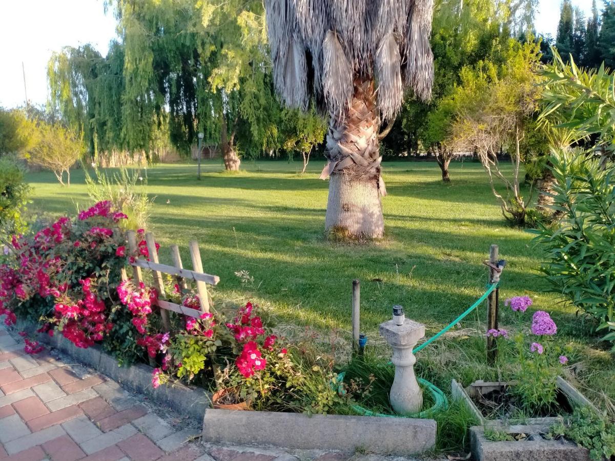 Appartamento Le Rose Olmedo Esterno foto