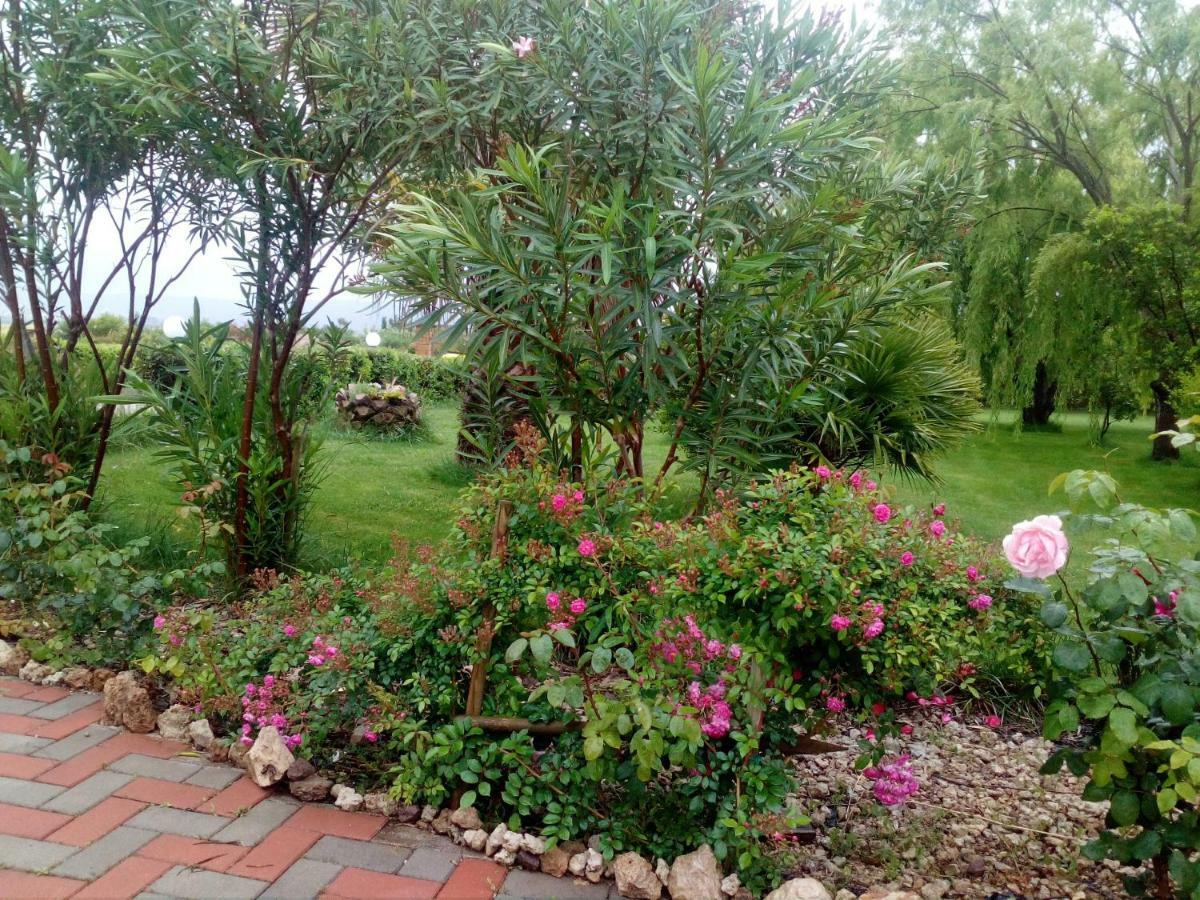 Appartamento Le Rose Olmedo Esterno foto