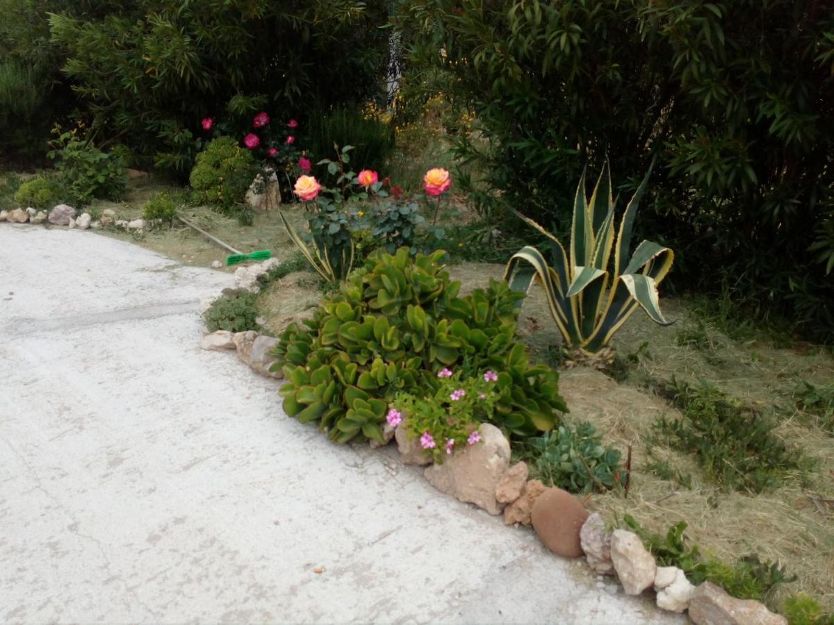 Appartamento Le Rose Olmedo Esterno foto