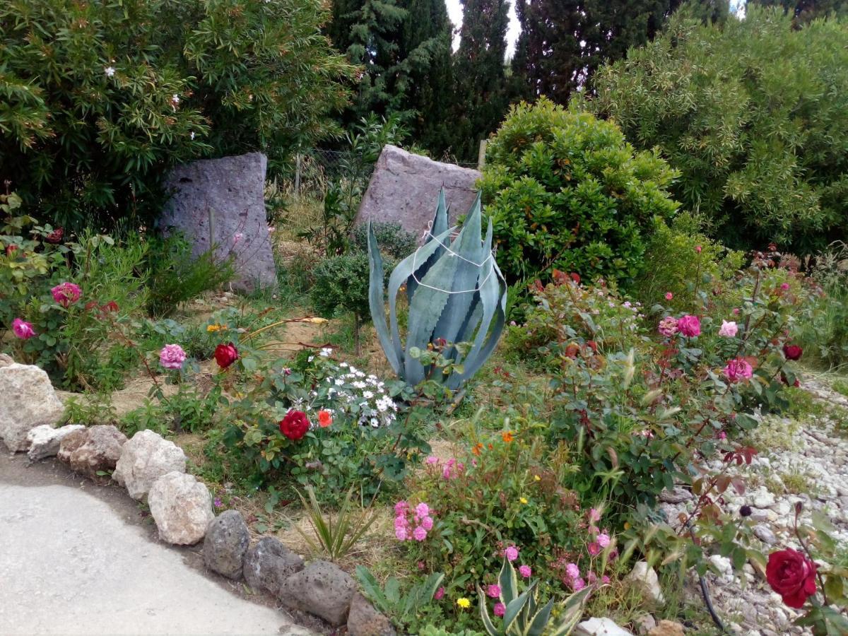 Appartamento Le Rose Olmedo Esterno foto
