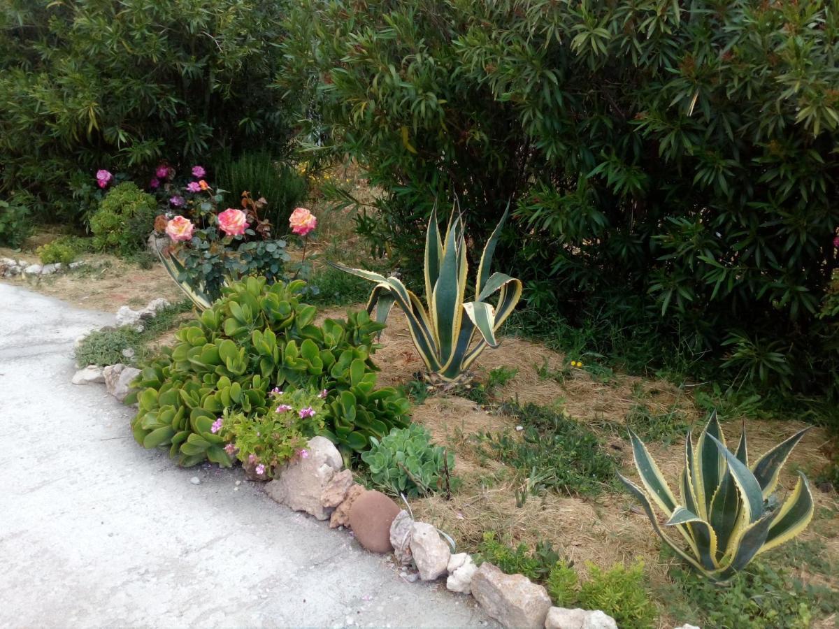 Appartamento Le Rose Olmedo Esterno foto