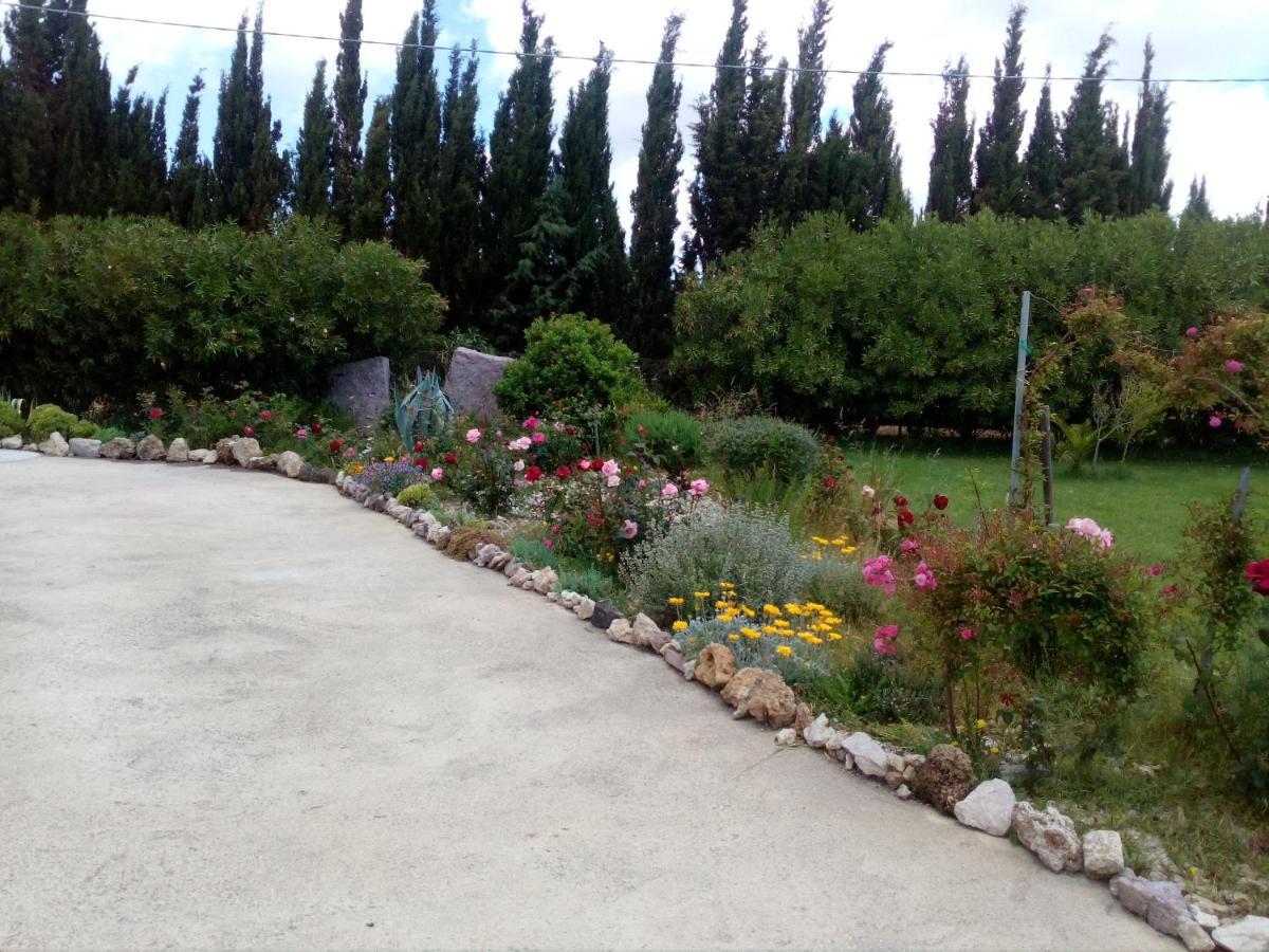 Appartamento Le Rose Olmedo Esterno foto