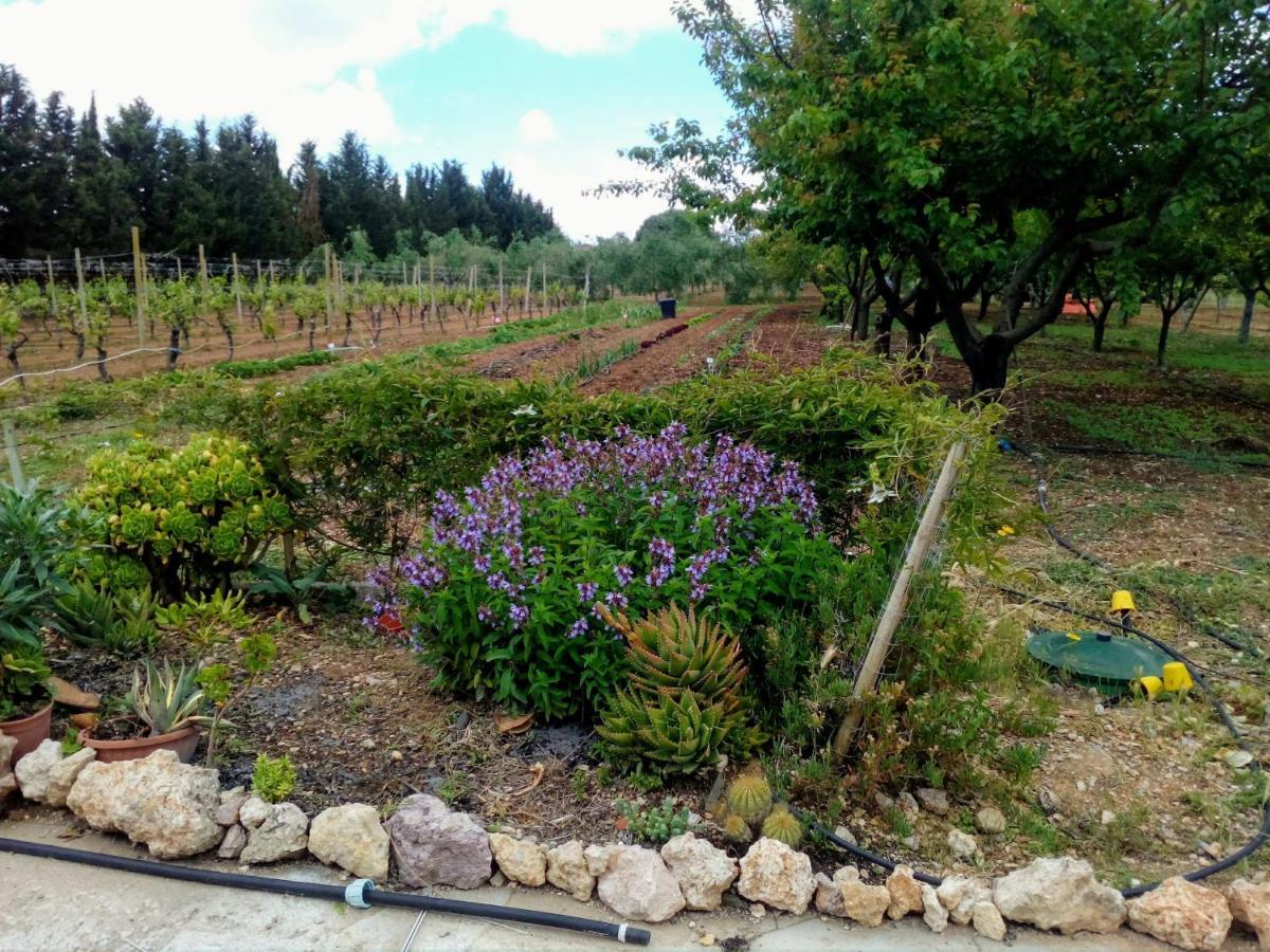 Appartamento Le Rose Olmedo Esterno foto